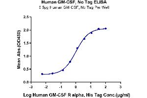 ELISA image for Colony Stimulating Factor 2 Receptor, Alpha, Low-Affinity (Granulocyte-Macrophage) (CSF2RA) (AA 23-320) protein (His tag) (ABIN7274781)