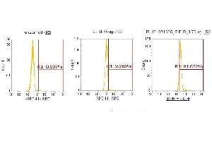 Flow Cytometry (FACS) image for anti-Eukaryotic Translation Initiation Factor 1B (EIF1B) (AA 1-113) antibody (PE) (ABIN5567955)