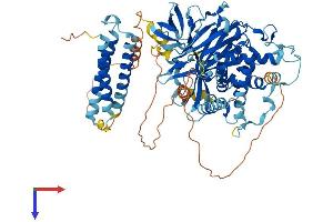 AlphaFold protein structure predicition of Human Recombinant NPHP1 Protein, UniprotID O15259