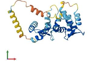 AlphaFold protein structure predicition of Mouse Recombinant Kcnip1 Protein, UniprotID Q9JJ57