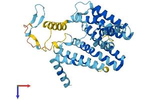 AlphaFold protein structure predicition of Human Recombinant PEX16 Protein, UniprotID Q9Y5Y5