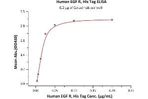Immobilized Cetuximab at 2 μg/mL (100 μL/well) can bind Human EGF R, His Tag (ABIN2180998,ABIN6253725) with a linear range of 0.