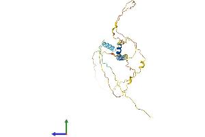 AlphaFold protein structure predicition of Mouse Recombinant Frat1 Protein, UniprotID P70339