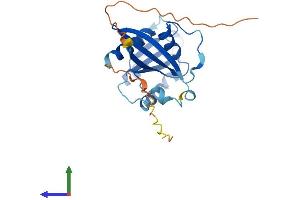 AlphaFold protein structure predicition of Mouse Recombinant Rab33b Protein, UniprotID O35963