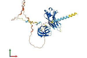 AlphaFold protein structure predicition of Human Recombinant SYT15 Protein, UniprotID Q9BQS2