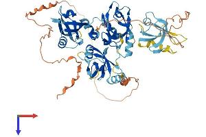 AlphaFold protein structure predicition of Human Recombinant NHERF4 Protein, UniprotID Q86UT5