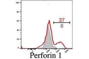 Antiviral effector CD8+ T cells are a predominant lymphocyte subset on the cornea.