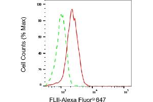 anti-Flightless I Homolog (FLII) antibody