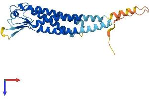AlphaFold protein structure predicition of Human Recombinant LHFPL4 Protein, UniprotID Q7Z7J7