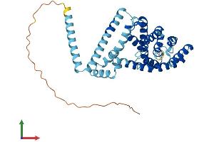 AlphaFold protein structure predicition of Human Recombinant LETMD1 Protein, UniprotID Q6P1Q0