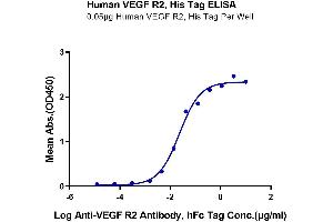 Immobilized Human VEGF R2 at 0. (VEGFR2/CD309 Protein (AA 20-764) (His-Avi Tag))