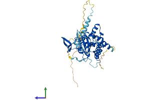 AlphaFold protein structure predicition of Mouse Recombinant Septin3 Protein, UniprotID Q9Z1S5
