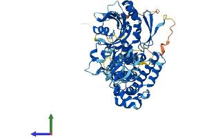 AlphaFold protein structure predicition of Human Recombinant DENND6B Protein, UniprotID Q8NEG7