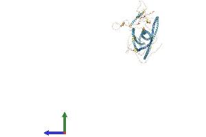 AlphaFold protein structure predicition of Mouse Recombinant Golga3 Protein, UniprotID P55937