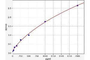 Matrix Metallopeptidase 14 (Membrane-inserted) (MMP14) ELISA Kit