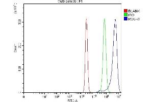Flow Cytometry analysis of U20S cells using anti-ROCK1 antibody (ABIN7602158). (ROCK1 anticorps  (AA 601-833))