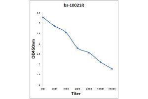 Antigen: 2 µg/100 µL  Primary: Antiserum, 1:500, 1:1000, 1:2000, 1:4000, 1:8000, 1:16000, 1:32000;  Secondary: HRP conjugated Rabbit Anti-Goat IgG at 1: 5000;  TMB staining Read the data in Microplate Reader by 450nm.