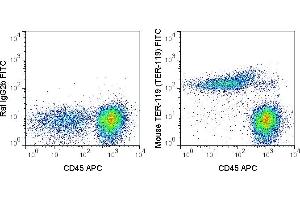 C57Bl/6 bone marrow cells were stained with APC Anti-Mouse CD45 (ABIN6961418) and 0. (Ly76 anticorps  (FITC))