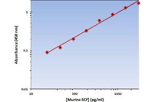 KIT Ligand (KITLG) ELISA Kit