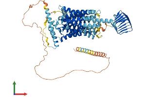 AlphaFold protein structure predicition of Mouse Recombinant Sv2a Protein, UniprotID Q9JIS5