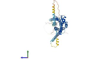 AlphaFold protein structure predicition of Human Recombinant OXTR Protein, UniprotID P30559