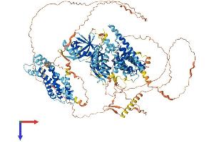 AlphaFold protein structure predicition of Mouse Recombinant Bcr Protein, UniprotID Q6PAJ1