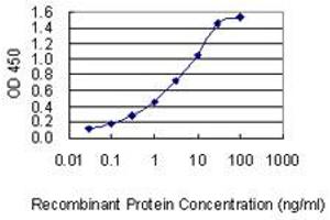 Detection limit for recombinant GST tagged DSG4 is 0.