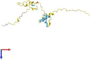 AlphaFold protein structure predicition of Mouse Recombinant Prr13 Protein, UniprotID Q9CQJ5
