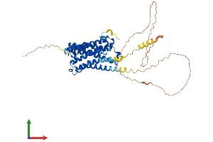 AlphaFold protein structure predicition of Human Recombinant CHRM2 Protein, UniprotID P08172