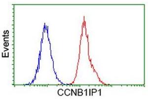 Flow cytometric Analysis of Hela cells, using anti-CCNB1IP1 antibody (ABIN2454441), (Red), compared to a nonspecific negative control antibody, (Blue). (CCNB1IP1 anticorps)