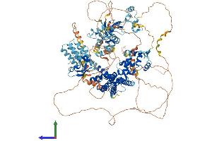 AlphaFold protein structure predicition of Mouse Recombinant Grid2ip Protein, UniprotID Q0QWG9