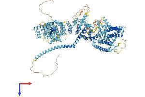 AlphaFold protein structure predicition of Mouse Recombinant Trpm5 Protein, UniprotID Q9JJH7