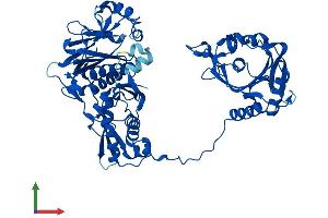 AlphaFold protein structure predicition of Mouse Recombinant Farsb Protein, UniprotID Q9WUA2