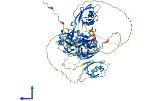 AlphaFold protein structure predicition of Mouse Recombinant Lnx1 Protein, UniprotID O70263
