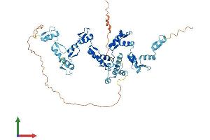 AlphaFold protein structure predicition of Human Recombinant ZNF157 Protein, UniprotID P51786