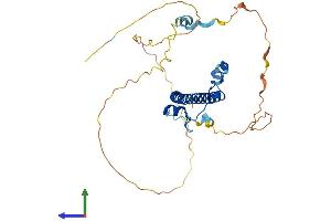 AlphaFold protein structure predicition of Mouse Recombinant Dbp Protein, UniprotID Q60925