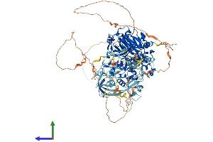 AlphaFold protein structure predicition of Human Recombinant KDM4B Protein, UniprotID O94953