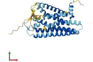 AlphaFold protein structure predicition of Human Recombinant OR2S2 Protein, UniprotID Q9NQN1