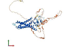 AlphaFold protein structure predicition of Human Recombinant ZDHHC1 Protein, UniprotID Q8WTX9