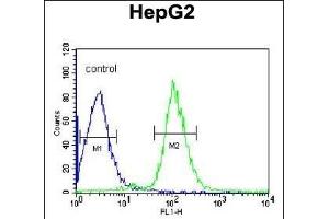 SERPINC1 Antibody (C-term) (ABIN390671 and ABIN2840966) flow cytometric analysis of HepG2 cells (right histogram) compared to a negative control cell (left histogram). (SERPINC1 anticorps  (C-Term))
