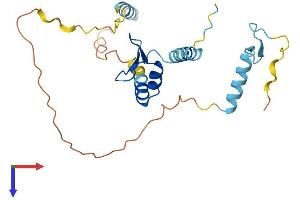 AlphaFold protein structure predicition of Mouse Recombinant Scnm1 Protein, UniprotID Q8K136