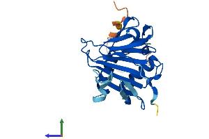 AlphaFold protein structure predicition of Mouse Recombinant Alkbh2 Protein, UniprotID Q6P6J4