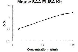 Mouse SAA PicoKine ELISA Kit standard curve