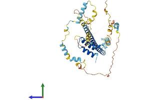 AlphaFold protein structure predicition of Mouse Recombinant Fez1 Protein, UniprotID Q8K0X8
