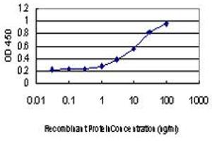 ELISA image for anti-RAB6A, Member RAS Oncogene Family (RAB6A) (AA 109-208) antibody (ABIN598568) (RAB6A anticorps  (AA 109-208))