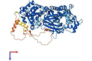 AlphaFold protein structure predicition of Mouse Recombinant Plcd4 Protein, UniprotID Q8K3R3