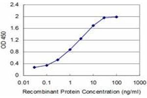 Detection limit for recombinant GST tagged NPY is approximately 0. (NPY anticorps  (AA 29-97))