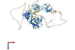 AlphaFold protein structure predicition of Mouse Recombinant Dclk2 Protein, UniprotID Q6PGN3