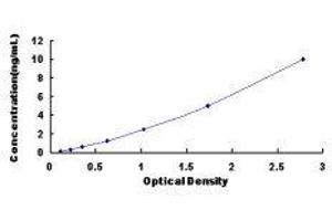 Typical standard curve