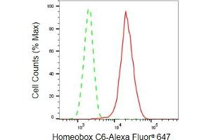 Flow cytometric analysis of Homeobox C6 expression in HepG2 cells using Homeobox C6 antibody (ABIN7798994), 1:2,000).